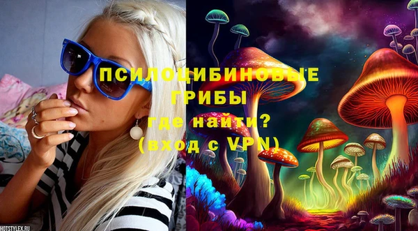 ECSTASY Михайлов
