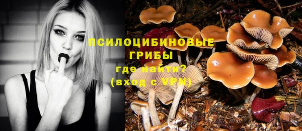 спиды Михайловск