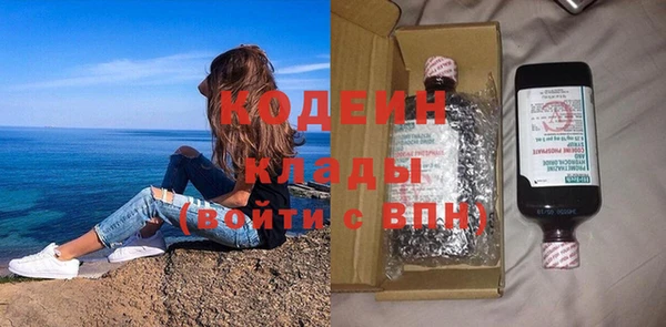 шишки Чердынь